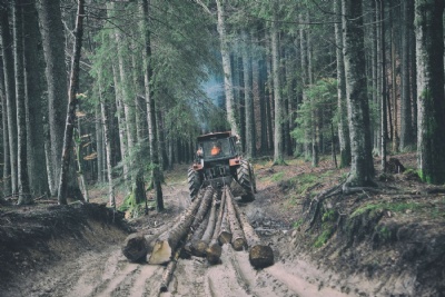 Agriculture/Forest Winch